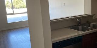 Welcome to Huston Court – Modern Living in the Heart of North Hollywood Gallery 28