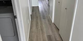 2345 Stace Street Gallery 1