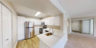 Cypress Run Gallery 38