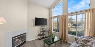 11031 Sierra Tree Gallery 7