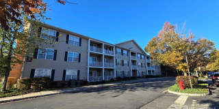 103 Liddle Avenue Gallery 1