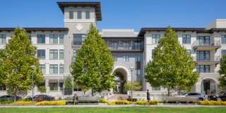 The Apartment Collection at Bay Meadows Gallery 33