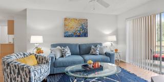 Bella Vista Apartments Gallery 6