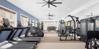 Vida at Mountain House Gallery 6