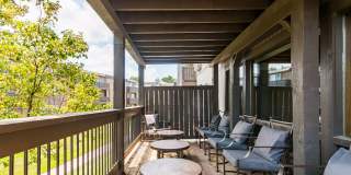 The Falls Gallery 37