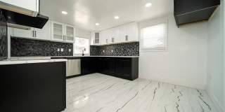 243 Newport Street Gallery 20