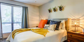 Avana at the Pointe Gallery 8