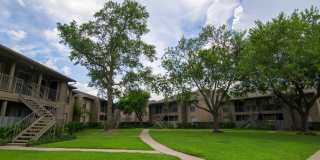 Pines of Woodforest Gallery 20