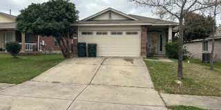 Gaston-Sheldon -Pflugerville Gallery 1