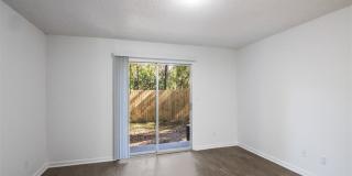 The Palmiere Gallery 5