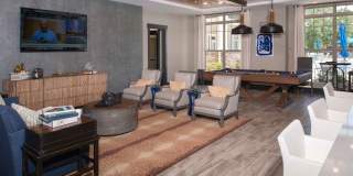 Silver Collection at The Park Gallery 6