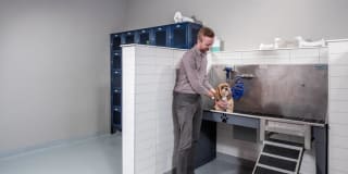 Edition Residences Gallery 11