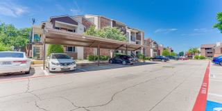 Timberglen Gallery 19