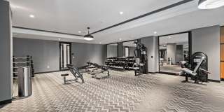 Aster & Links Gallery 54