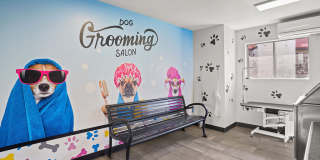 Waterford Place Gallery 10