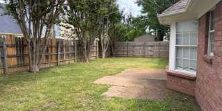 9532 Chi Chi Cv Gallery 25