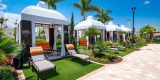 Oceanside Lantana Gallery 8