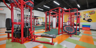 The Tree Apartments Gallery 74