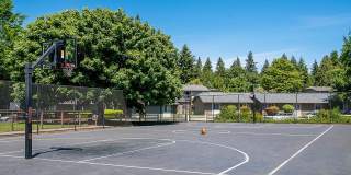 ReNew Dash Point Gallery 58