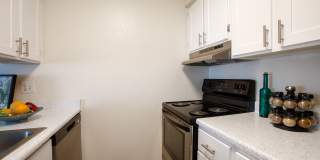 Whispering Sands Gallery 3