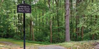 Halstead Burke Gallery 32