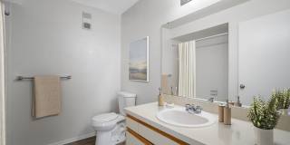 Tampa Woods Apartments Gallery 21