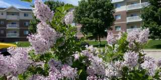 West Ridge Apartments Gallery 11
