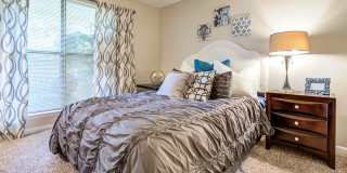 Canter Chase Gallery 27