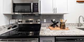 The Access Gallery 25