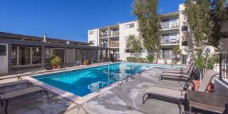 Tarzana Springs Gallery 4