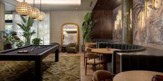 Alexan Camellia Gallery 14