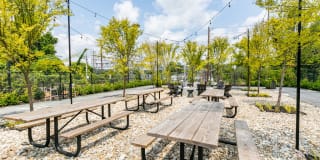 Lofts at Riverwalk Gallery 49