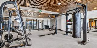 Aura Arts District Gallery 43