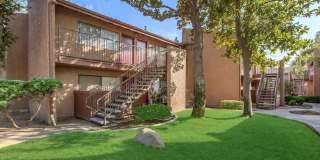 Pacific Terrace Gallery 1