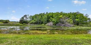 602 Sabal Palm Lane Gallery 43