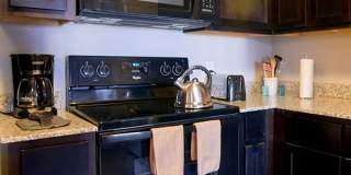 Anatole on Briarwood Gallery 35