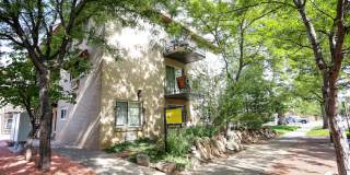 The Vertice Gallery 11