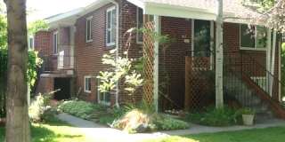 41 S Ogden Street Gallery 30