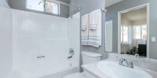 Park Sierra Gallery 28