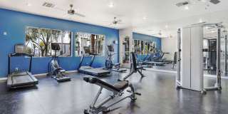 Avion at Sunrise Mountain Gallery 22