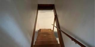 343 Elmwood Drive Gallery 40