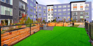 Hazel Apartments Gallery 25