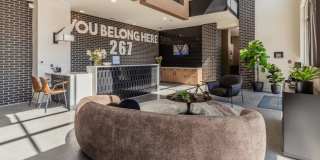 Legends 267 Gallery 5