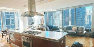 1244 Square foot, luxury condo in Lakeshore East, Chicago Gallery 5
