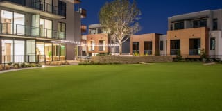 The Village Drey Gallery 45