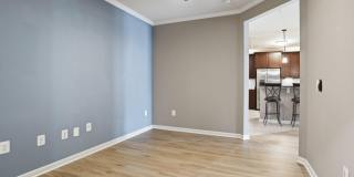 24636 WOOLLY MAMMOTH Terrace Gallery 14