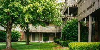 Turtle Creek Apartments of Indianapolis Gallery 8