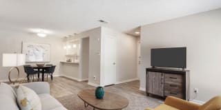 Amp at the Grid Gallery 18