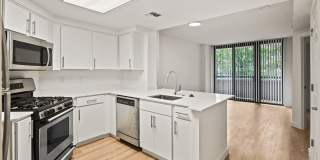 Ballston Place Gallery 2