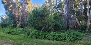 820 LANTERN WAY Gallery 34